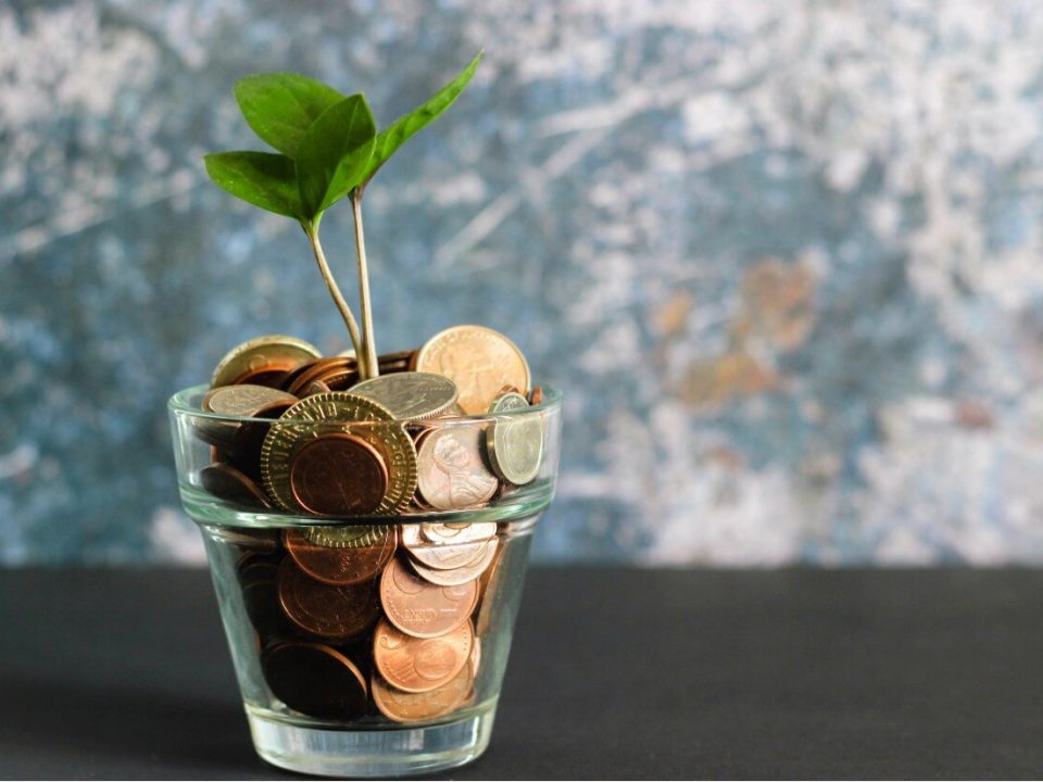 UKDS blog money savvy series make money work for you growing money plant