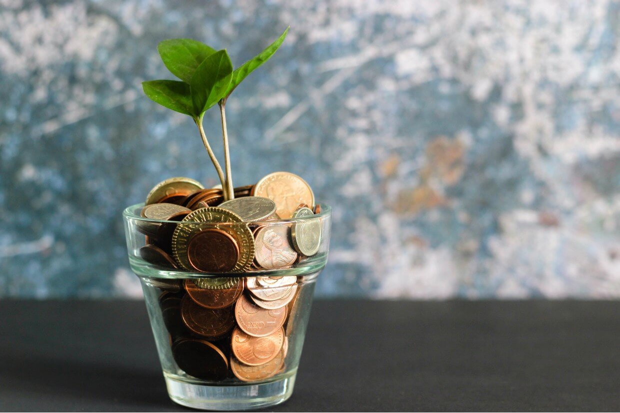 UKDS blog money savvy series make money work for you growing money plant