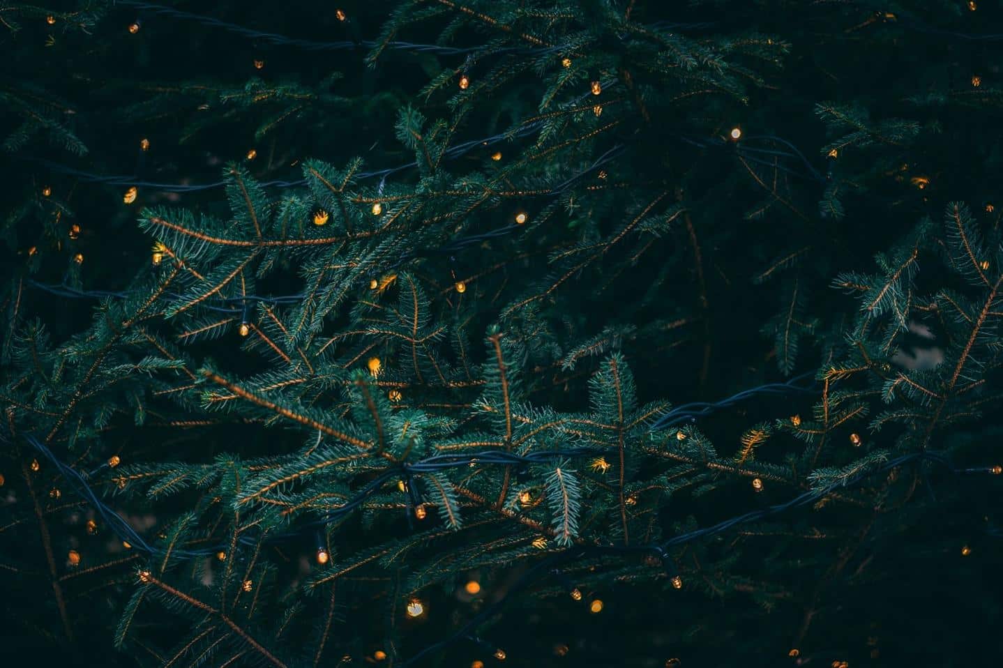 parallax background